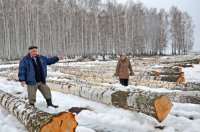 Жители села Байкибашево намерены спасти свой лес