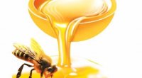 В Башкортостане пройдет Всероссийский конкурс профессионального мастерства «Лучший по профессии» в номинации «Лучший пчеловод»