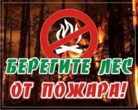 В лесах Башкирии установлен 3 класс пожарной опасности - Минлесхоз