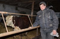 ООО «Зуевское» выращивает и откармливает КРС на стейковое мясо
