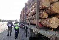 Прокуратурой района в ходе изучения материала доследственной проверки выявлены факты нарушения требований лесного законодательства