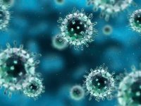 Угрожают ли жителям Башкирии новые штаммы гриппа - эксперт Роспотребнадзора