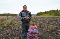 Фермер Р.Ахметханов сделал ставку на картофелеводство