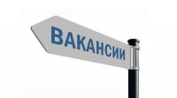 Центр занятости Караидельского района опубликовал более 200 вакансий, востребованных в Мурманской области